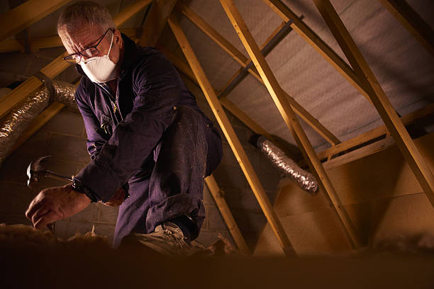 Best Specialized Insulation Services in Riddle, OR